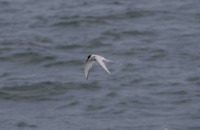 bernd dittrich pui5 jla0b8 unsplash 