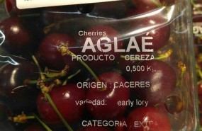 ep caceres notaprensa precios cereza