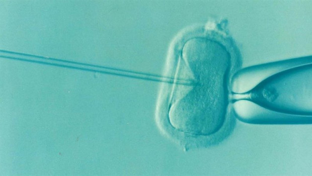 ep fecundacion in vitro 20200601113104