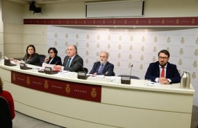ep mesala comision exteriores senado
