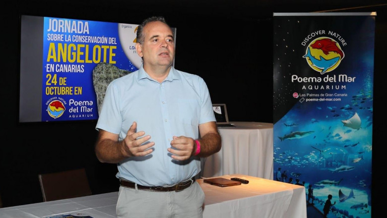 1571996481 jornada conservaci n angelote loro parque 241019001