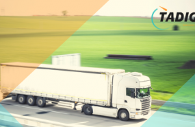 1614164452 dise o sin t tulo 1614164452 dise o sin t tulo