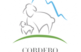 1632850200 logo con fondo blanco