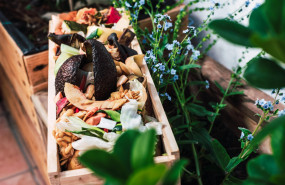 1640250355 compostaje 1640250355 compostaje