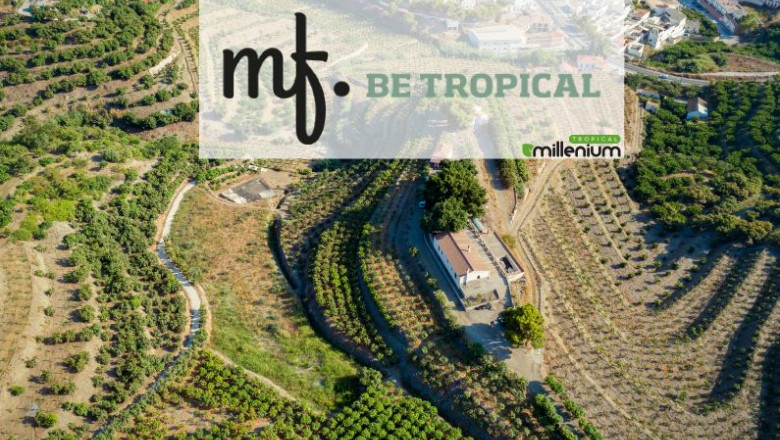 1641206364 nota de prensa be tropical