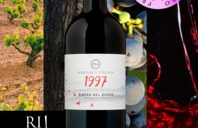 barrica 1997 vinduero 1 1