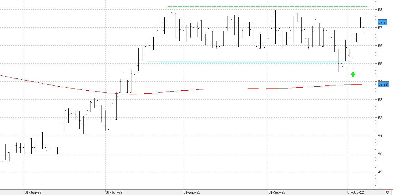 c101022viscofan