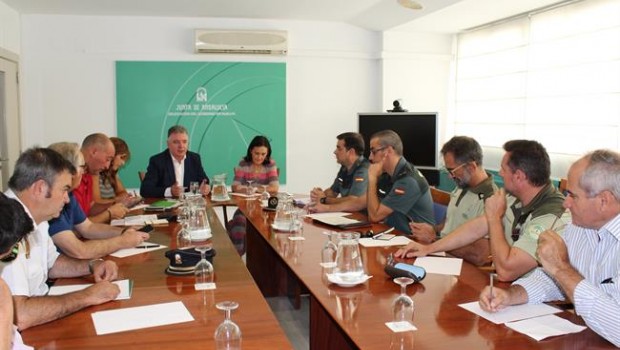 ep 1 nota junta reunion juntasubdelegacion analisis incendios