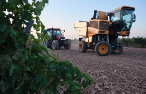 ep archivo   una vendimiadora y un tractor durante la vendimia de la uva sauvignon blanc