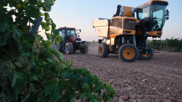 ep archivo   una vendimiadora y un tractor durante la vendimia de la uva sauvignon blanc