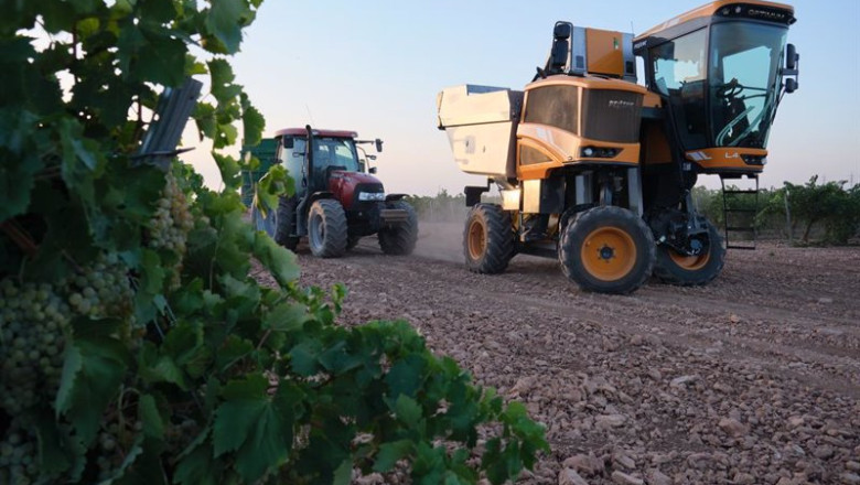 ep archivo   una vendimiadora y un tractor durante la vendimia de la uva sauvignon blanc
