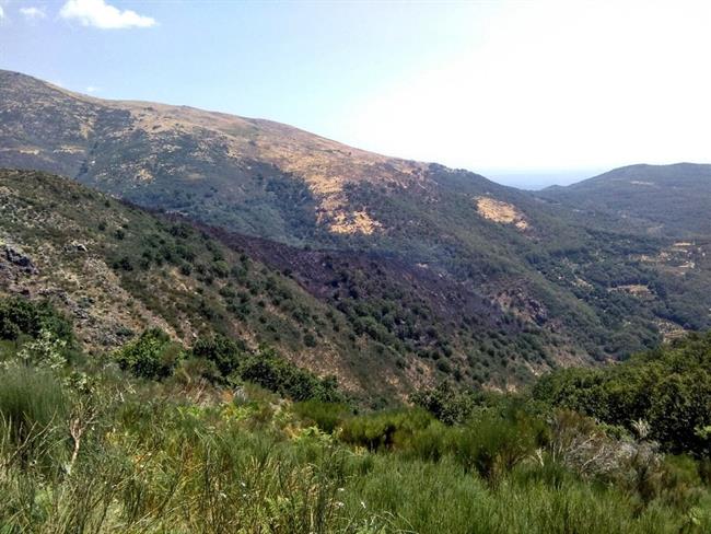 Aspecto del incendio en Garganta la Olla que evoluciona favorablemente | INFOEX ep aspectoincendiogargantaollaevoluciona favorablemente