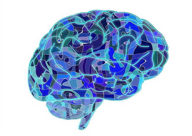 Cerebro | PIXABAY ep cerebro 20180131174604