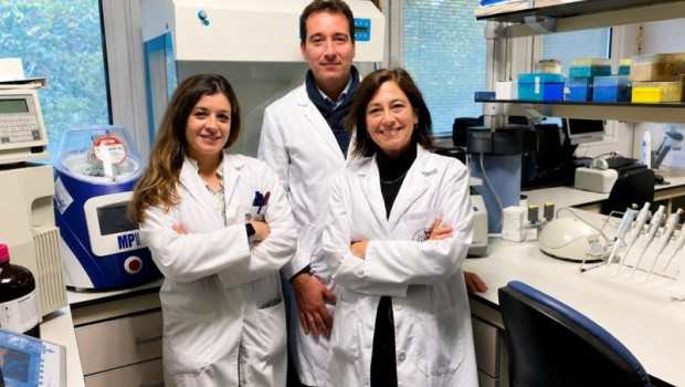 ep equipo investigador de la uja cuyo trabajo ha resultado ganador