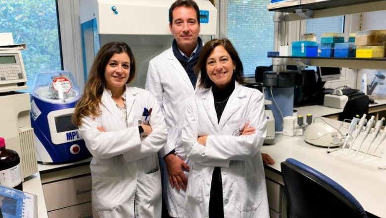 ep equipo investigador de la uja cuyo trabajo ha resultado ganador