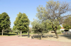 ep grupomadrid ayto arganda el ayuntamiento de arganda del rey plantara 10000 arboles para reducir