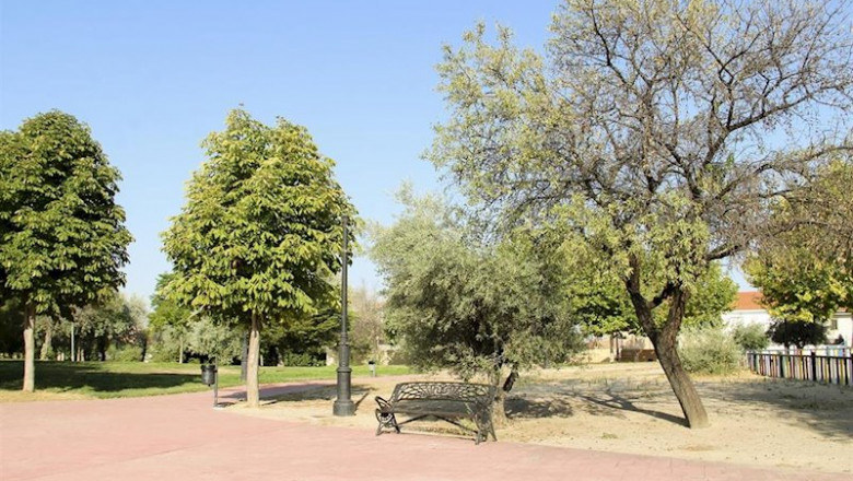 ep grupomadrid ayto arganda el ayuntamiento de arganda del rey plantara 10000 arboles para reducir