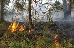 ep imagen de archivo de un incendio en rianxo el 26 de marzo de 2019