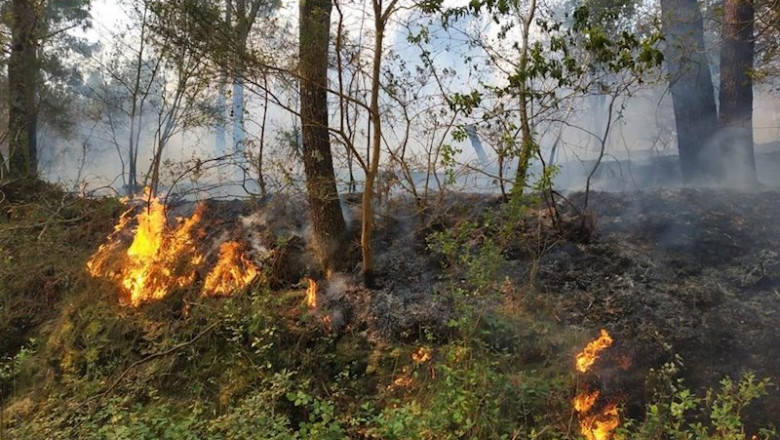 Imagen de archivo de un incendio en Rianxo el 26 de marzo de 2019. | EUROPA PRESS - Archivo ep imagen de archivo de un incendio en rianxo el 26 de marzo de 2019