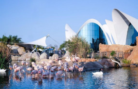 ep imagen del oceanogrfic de valncia