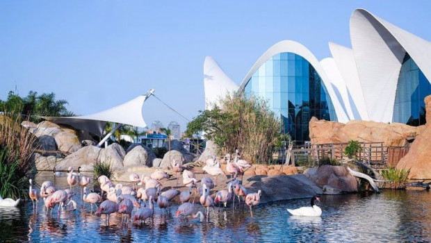 ep imagen del oceanogrfic de valncia