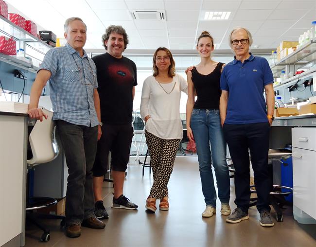 Investigadores de la UPV/EHU | UPV/EHU ep investigadoresla upvehu 20180704124102