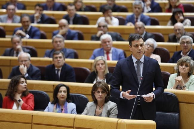Pedro Sánchez en el Senado | MARTA JARA/EUROPA PRESS ep pedro sanchezsenado