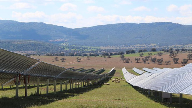 ep planta fotovoltaica de naturgy 20240411122606