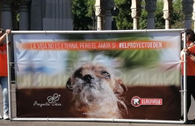 ep presentacionproyecto eden iniciativala protectoraanimalesrefugio