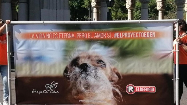 Presentación del Proyecto Edén, iniciativa de la protectora de animales El Refugio | PAULA FARALDO ep presentacionproyecto eden iniciativala protectoraanimalesrefugio