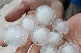 ep upa pide reforzar y reformar el sistema de seguros agrarios ante una meteorologia hostil que dana