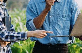 imagen1 20250916094055 imagen1 20250916094055