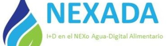 logo nexada