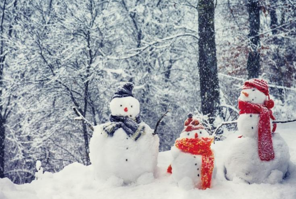 1573468803 captura de pantalla 2019 11 11 a las 113954