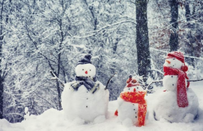 1573468803 captura de pantalla 2019 11 11 a las 113954