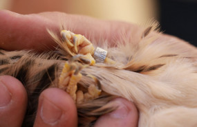 1626866262 0bbf3df5693cbd3118c040cdf0cdd245xl 