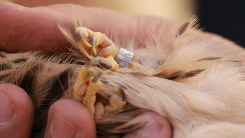 1626866262 0bbf3df5693cbd3118c040cdf0cdd245xl 