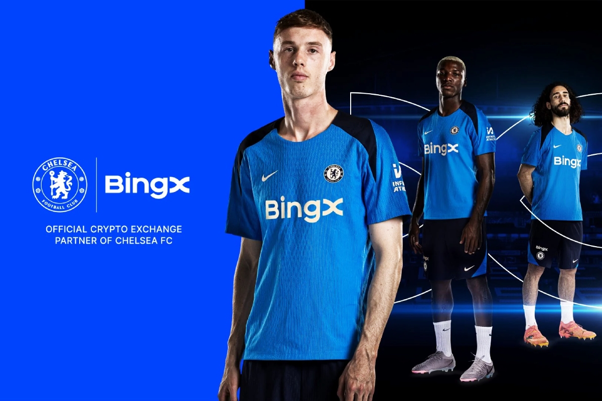 bingx chelsea bingx chelsea