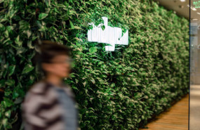 image of the news Adyen cuts full-year outlook, shares tumble