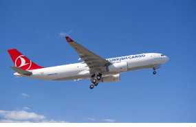 ep archivo   avion de turskish airlines