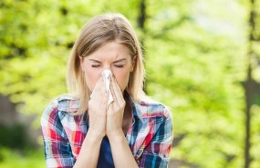 ep chica estornudo alergia panuelo