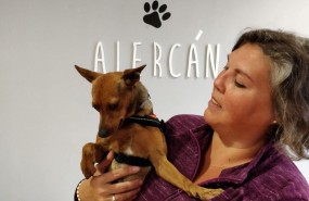 ep fundacion alercan