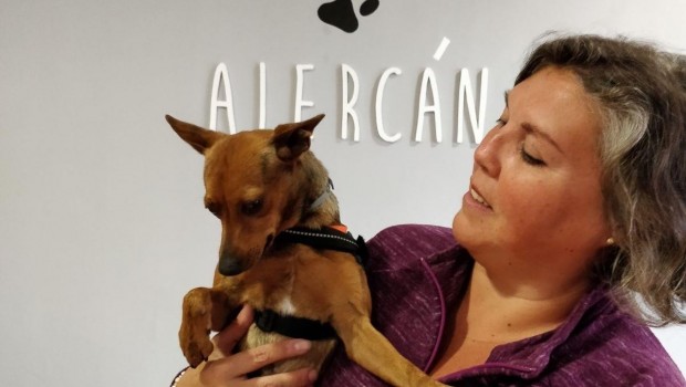 ep fundacion alercan