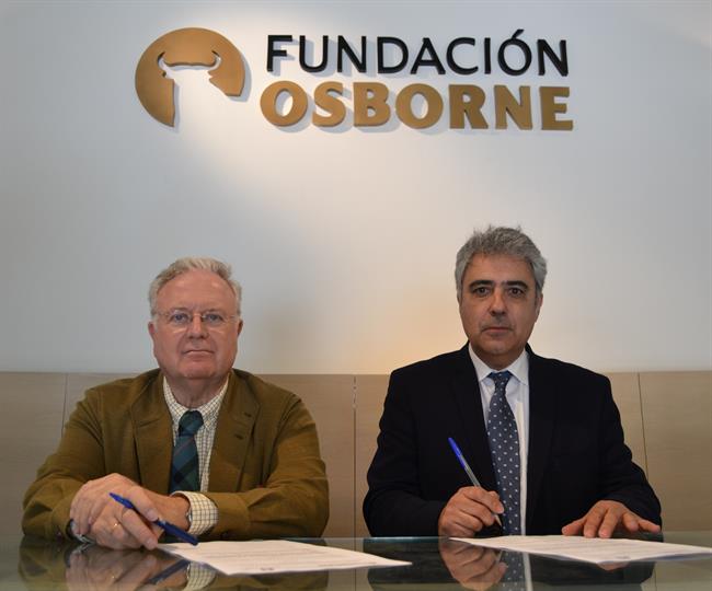 Fundación Osborne y Fundación Santa María la Real alcanzan un acuerdo | FUNDACIÓN SANTA MARÍA LA REAL ep fundacion osbornefundacion santa mariareal alcanzanacuerdo