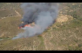 ep incendio forestalmadrono sevilla