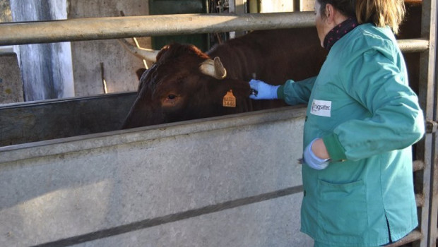 ep la atencion de animales de renta continua aportando la mayor parte del volumen de negocio