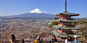 japon fuji cherry blossom tourism 