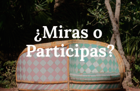 miras o participas 20240924121738 miras o participas 20240924121738