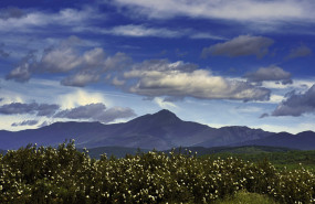 sierra norte sierra norte