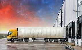 1570112836 transeop4